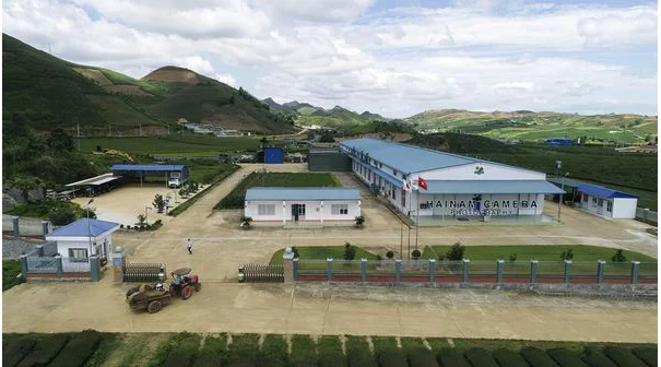 Công ty Cổ phần Satoen Việt Nam