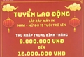 THÔNG BÁO TUYỂN LAO ĐỘNG