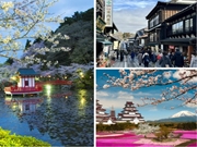 Tuyển thực tập sinh làm việc tại Chiba Nhật Bản